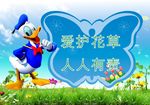 爱护花草