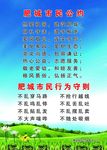 行为守则