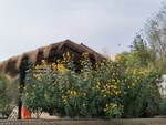 风景