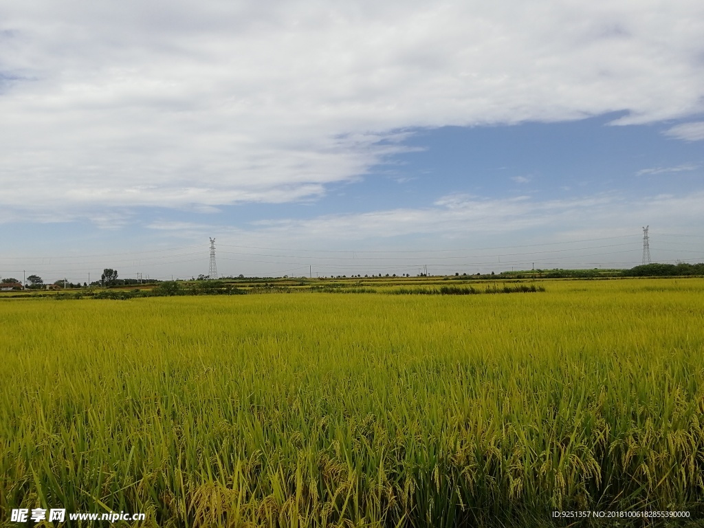 蓝天 天空 田园 田野 田间