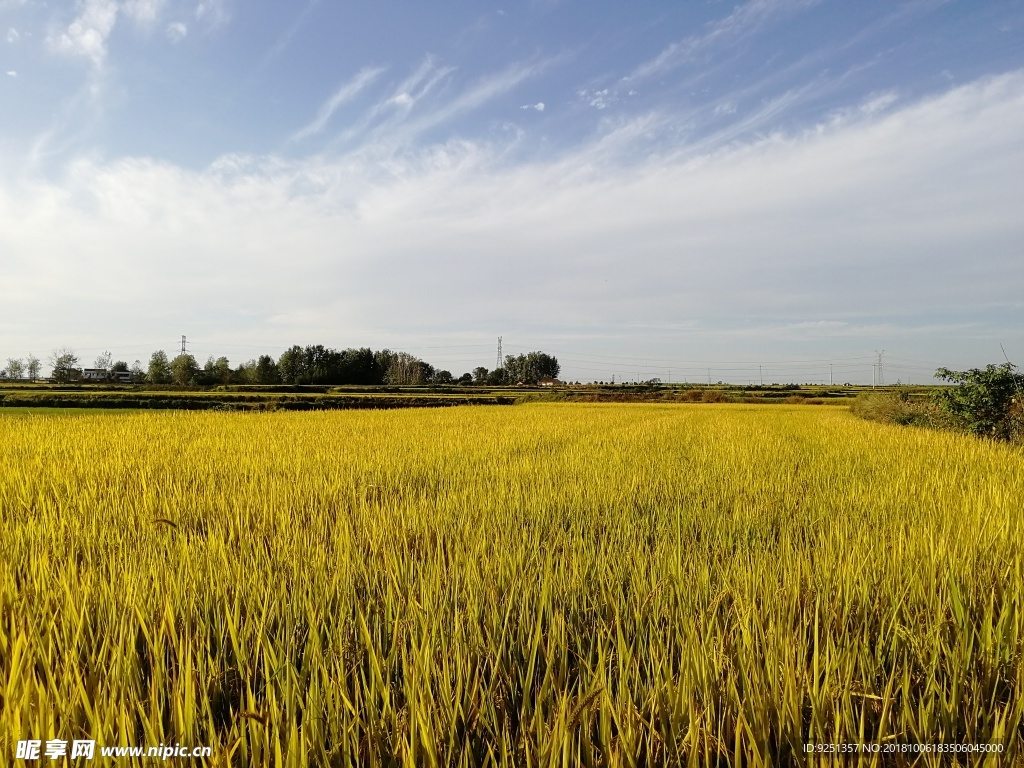 蓝天 天空 田园 田野 田间