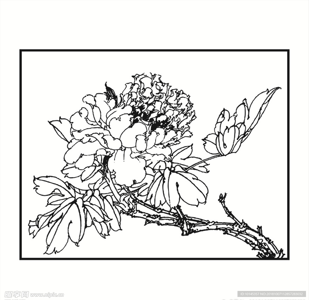 花卉