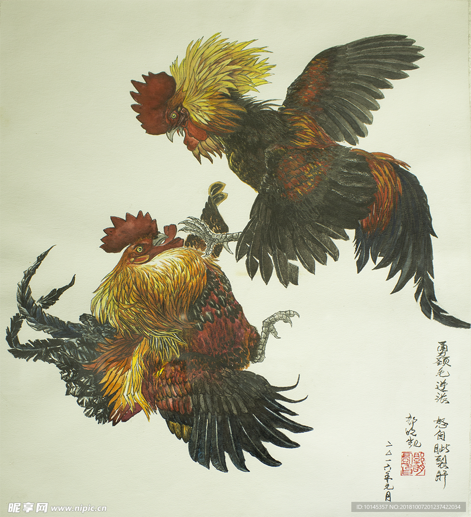 斗鸡