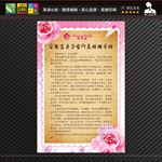 信纸