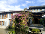 风景