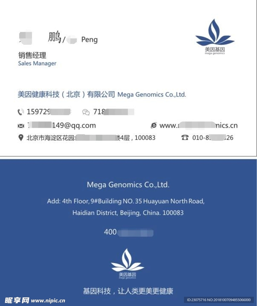 美因基因名片