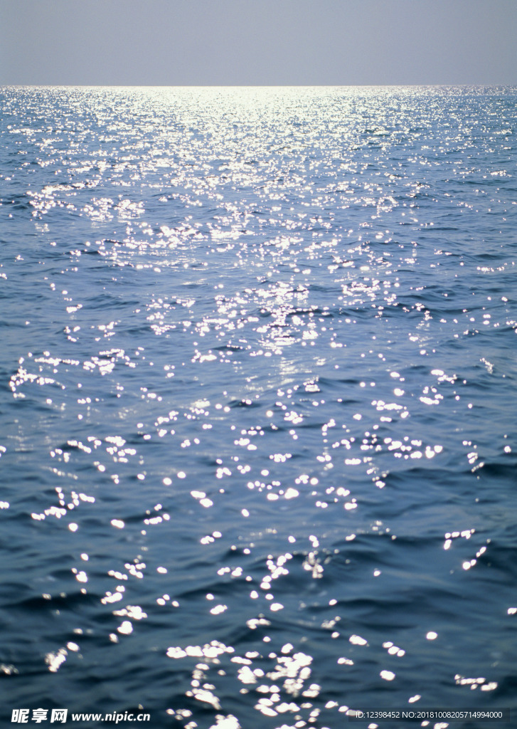 大海
