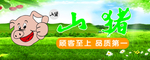 绿色食品