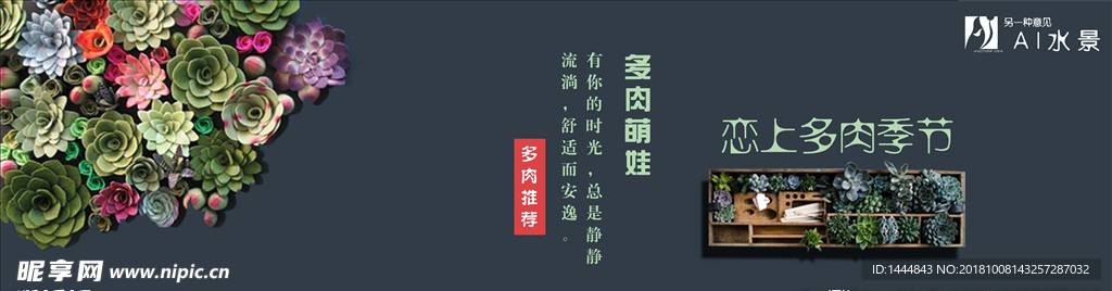 多肉海报