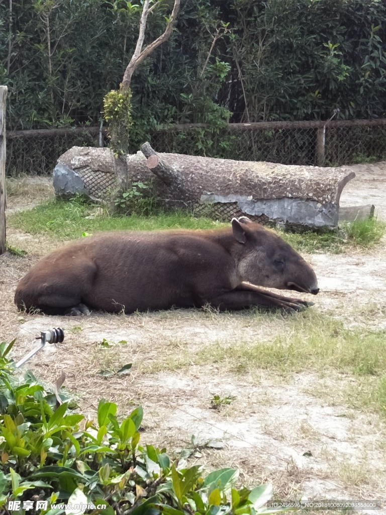 动物园  小动物