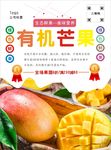 芒果海报
