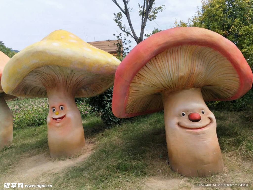 蘑菇