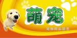 宠物超舒适