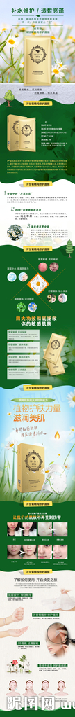 洋甘菊面膜详情