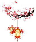灯笼 梅花