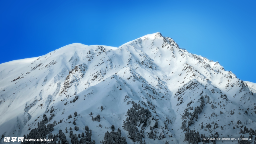 高山雪景