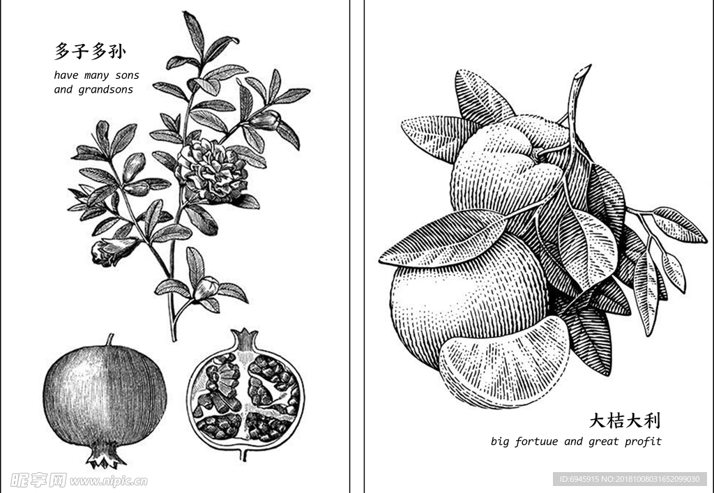 果实 版画 黑白画 墙绘素材