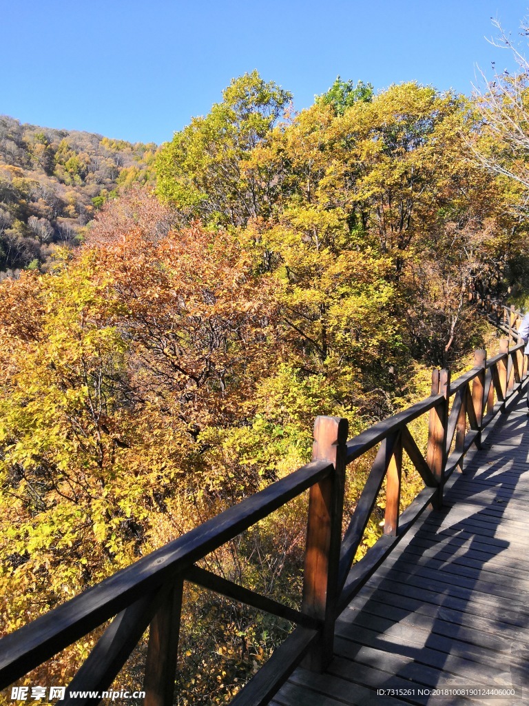 风景