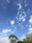 蓝天