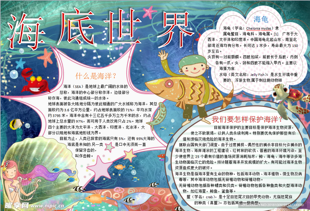 海洋小报