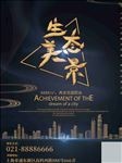 房地产 盛大开业