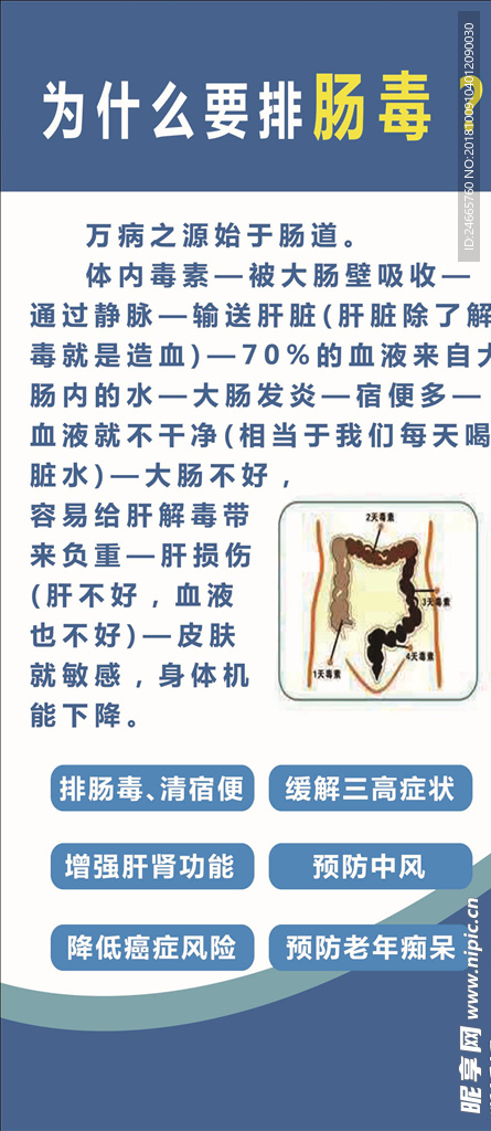 为什么排肠毒