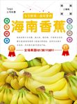 香蕉海报
