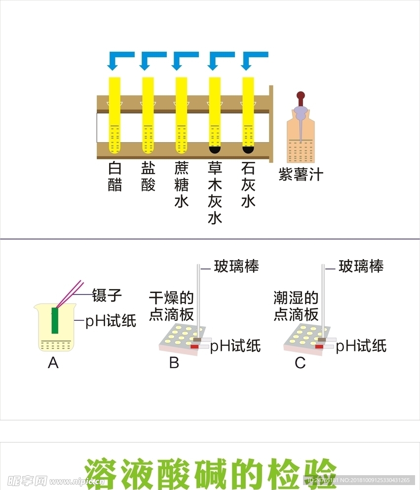 酸碱的检验