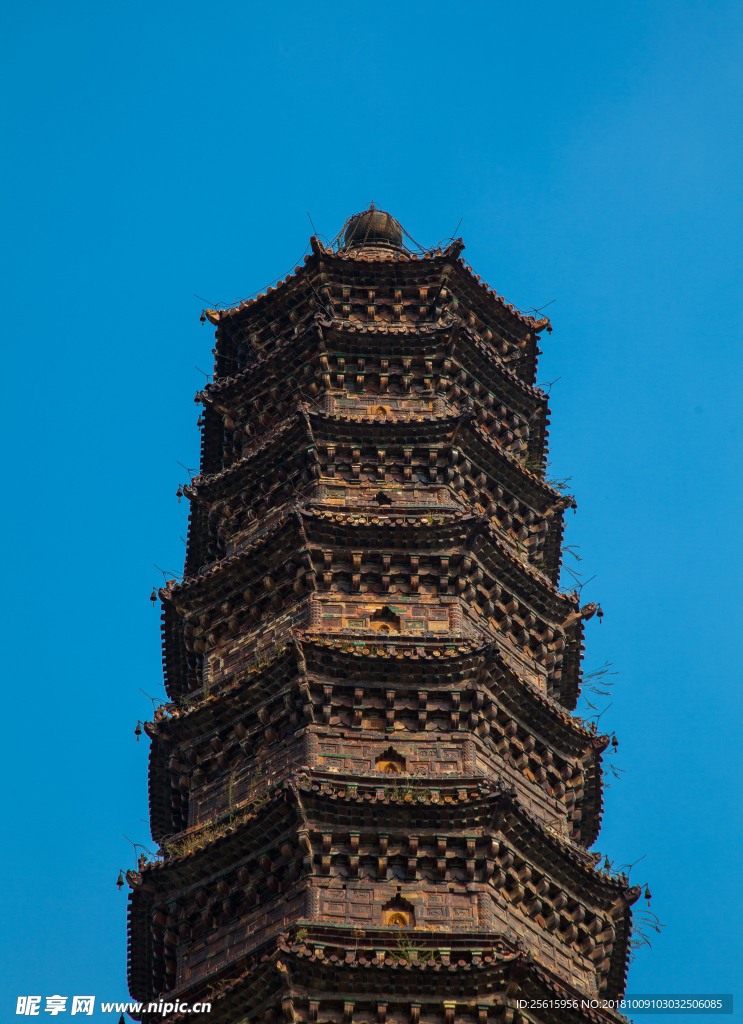 铁塔公园