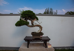 铁塔公园