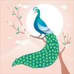 卡通孔雀