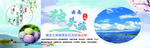 精选 独头蒜
