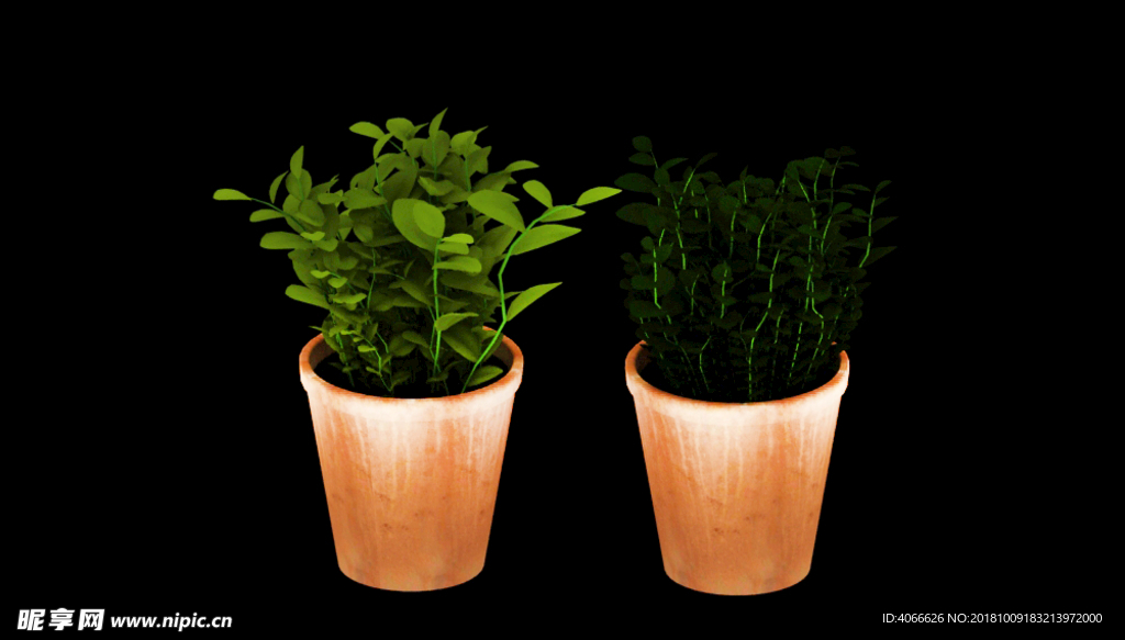 绿色盆栽植物3d模型