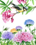 手绘花草和小鸟