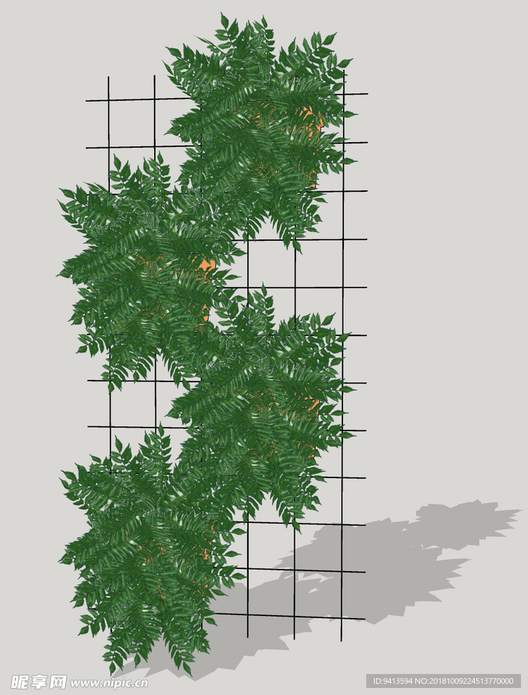 植物墙