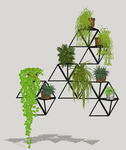 植物墙