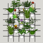 植物墙