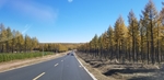 公路