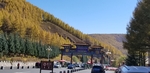 公园