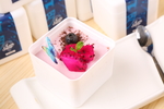 摄影 展架 水牌 灯箱 单品