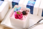 摄影 展架 水牌 灯箱 单品