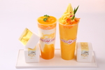 摄影 展架 水牌 灯箱 单品