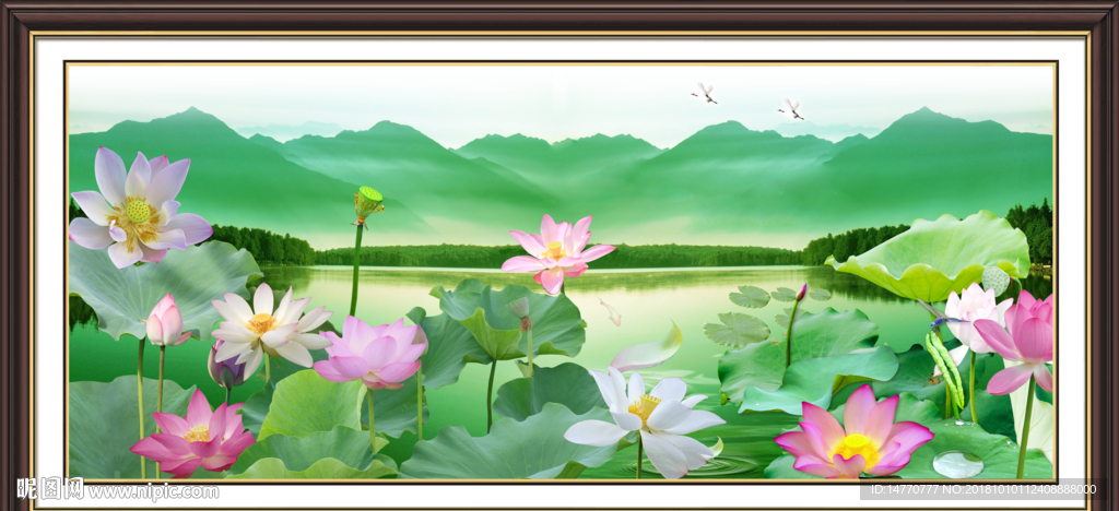 国画荷花