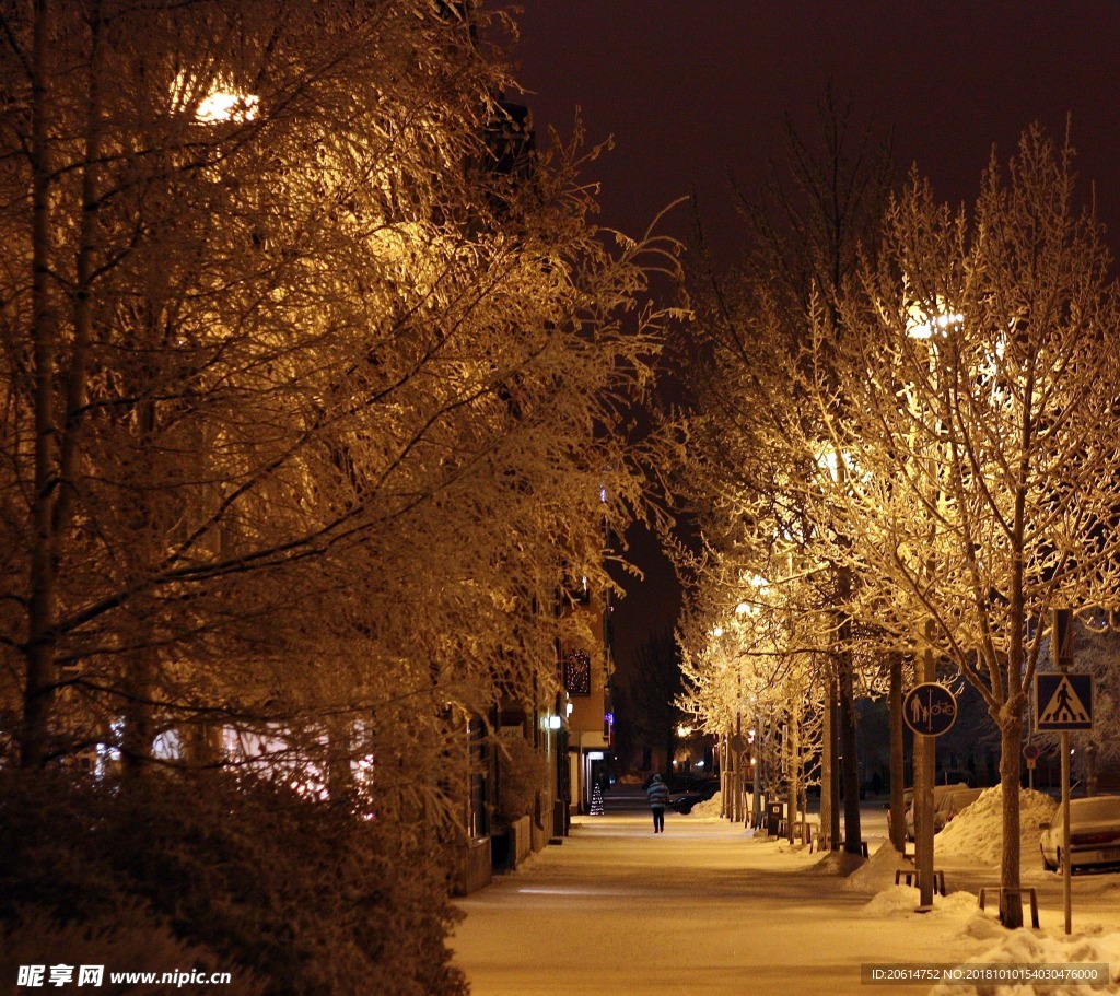 夜色下的道路风景