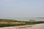 海边