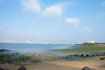 海湾大桥