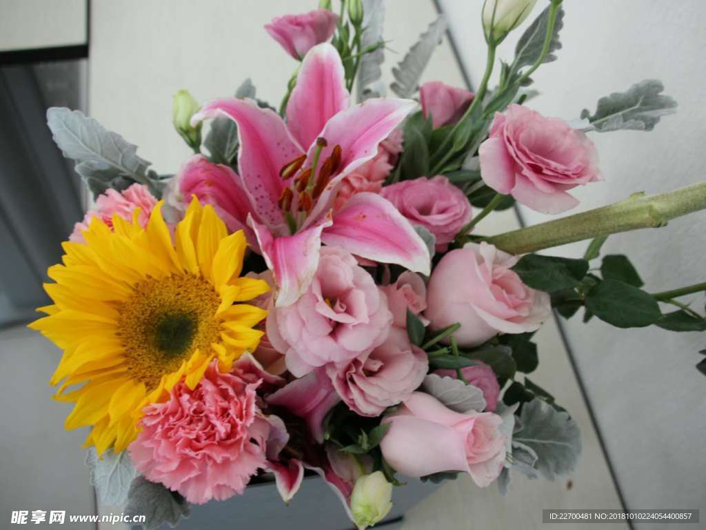 鲜花 百合 向日葵