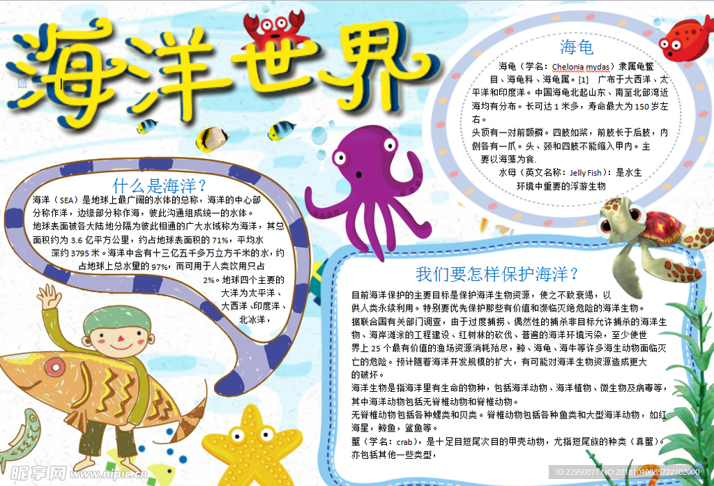 海洋小报
