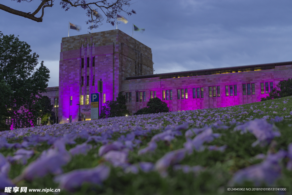 大学和落花