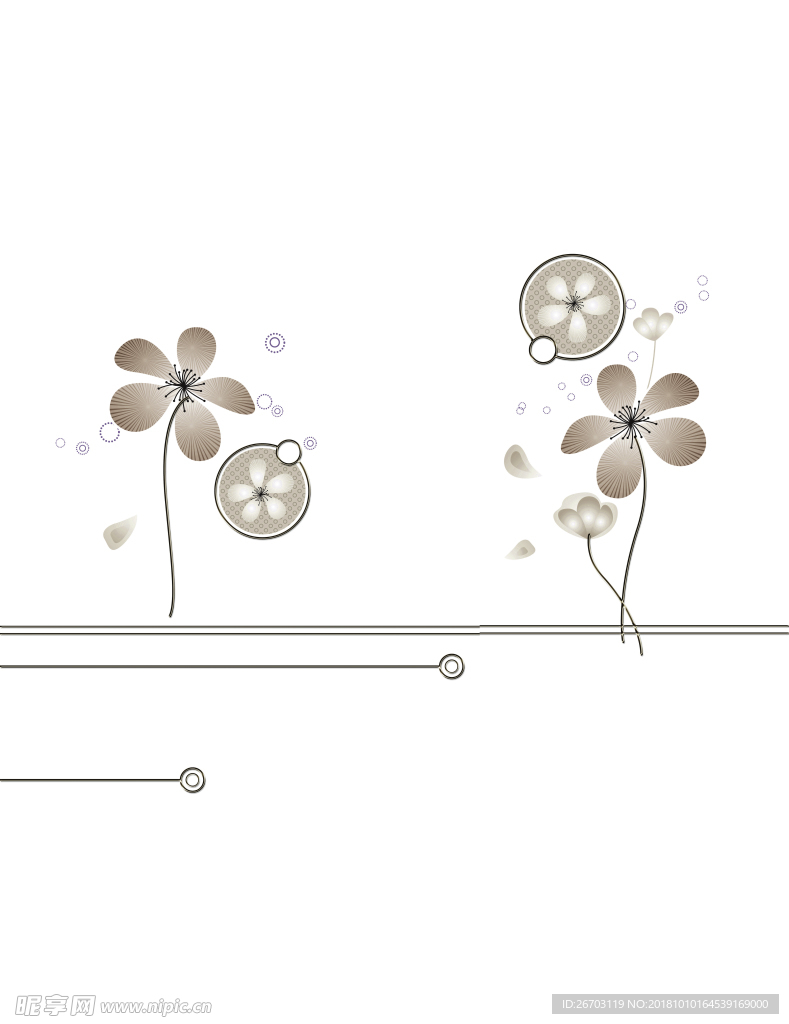 花纹